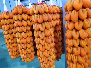 권영동 님의 설날, 어떻게 보내시나요? · 참여글 작성글 사진