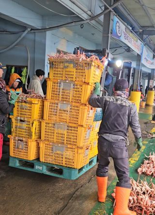 노가네수산님의 자유주제 · 자유게시판 작성글 사진