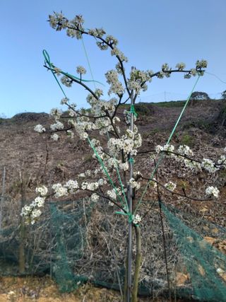 풍요님의 배 · 일상 작성글 사진