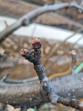 풍요님의 배 · 일상 작성글 사진