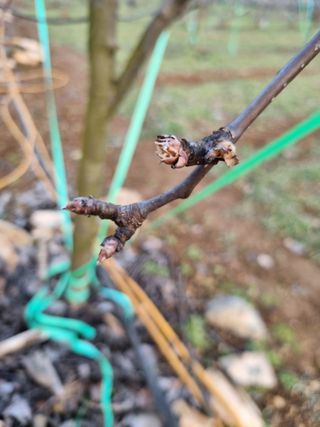 풍요님의 배 · 일상 작성글 사진