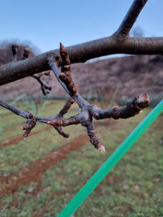 풍요님의 배 · 일상 작성글 사진
