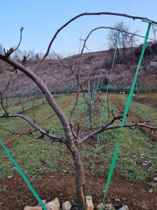 풍요님의 배 · 일상 작성글 사진