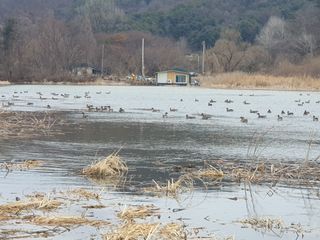 알 수 없음님의 설날, 어떻게 보내시나요? · 참여글 작성글 사진