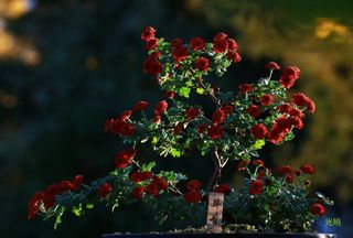 문해님의 자유주제 · 자유게시판 작성글 사진