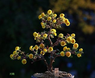 문해님의 자유주제 · 자유게시판 작성글 사진