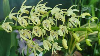 푸른꿈님의 자유주제 · 자유게시판 작성글 사진