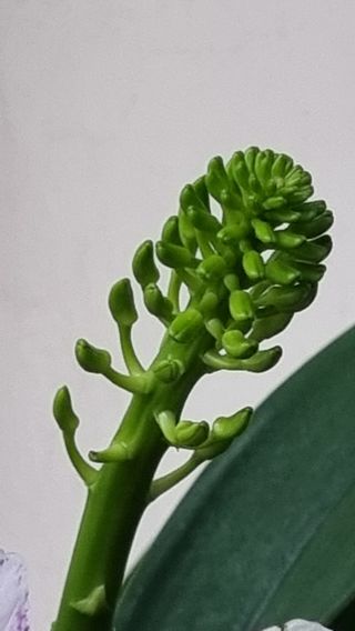 푸른꿈님의 자유주제 · 자유게시판 작성글 사진