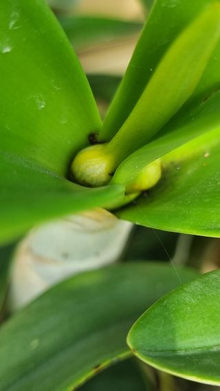 푸른꿈님의 자유주제 · 자유게시판 작성글 사진