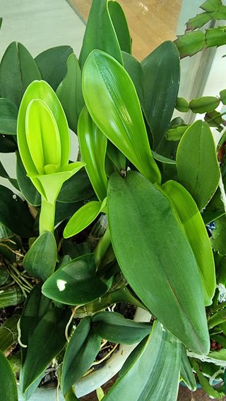 푸른꿈님의 자유주제 · 자유게시판 작성글 사진