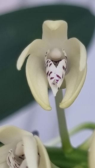 푸른꿈님의 자유주제 · 자유게시판 작성글 사진