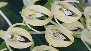 푸른꿈님의 자유주제 · 자유게시판 작성글 사진