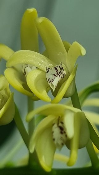 푸른꿈님의 자유주제 · 자유게시판 작성글 사진