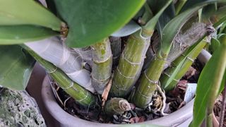 푸른꿈님의 자유주제 · 자유게시판 작성글 사진