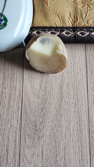 박종기님의 감자 · 자유게시판 작성글 사진