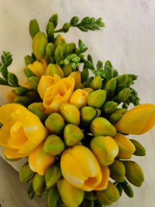 고영희님의 설날, 어떻게 보내시나요? · 참여글 작성글 사진