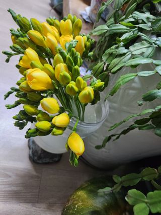 고영희님의 설날, 어떻게 보내시나요? · 참여글 작성글 사진