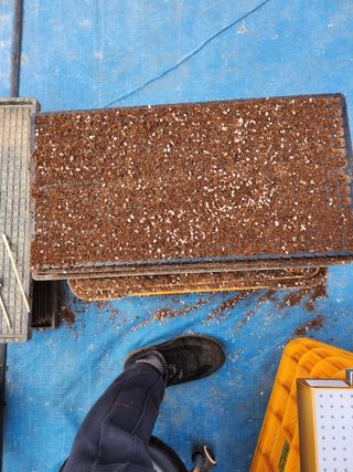 김창순님의 요즘 우리동네 농작업은? · 참여글 작성글 사진