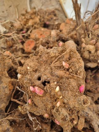 이호성님의 작성글 사진