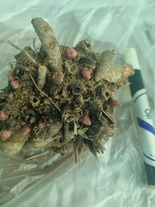 이호성님의 작성글 사진