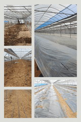 팜모닝 오이·자유게시판 게시글 이미지