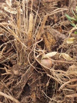 이호성님의 작성글 사진