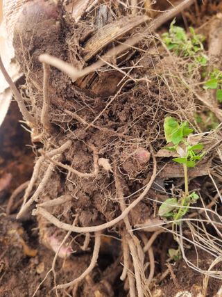 이호성님의 작성글 사진