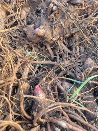 이호성님의 작성글 사진