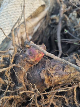 이호성님의 작성글 사진