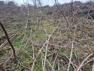 이호성님의 작성글 사진