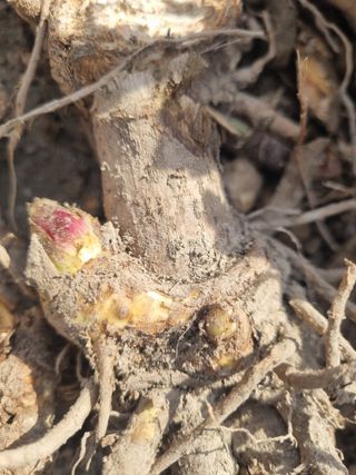 이호성님의 작성글 사진