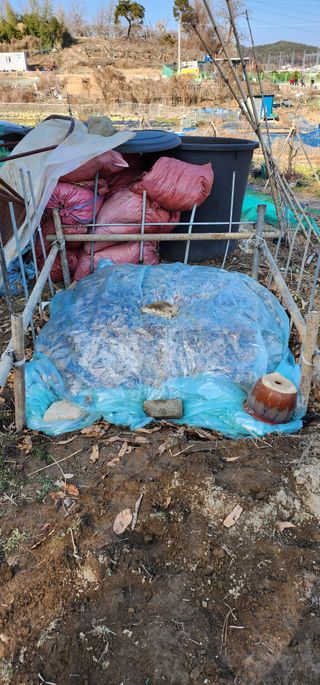 이수영님의 자유주제 · 자유게시판 작성글 사진