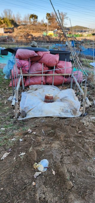 이수영님의 자유주제 · 자유게시판 작성글 사진