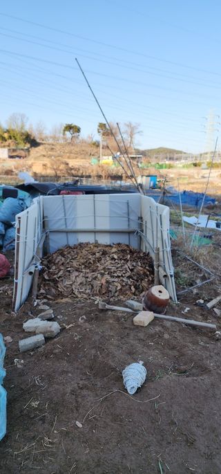 이수영님의 자유주제 · 자유게시판 작성글 사진