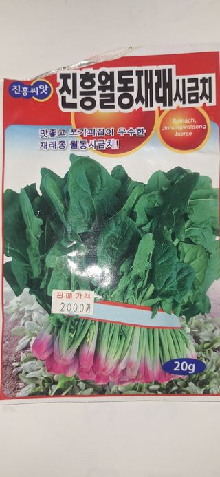 로즈마리님의 시금치 · 영농일지 작성글 사진