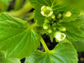 여우내 이순홍님의 기타작물 · 자유게시판 작성글 사진