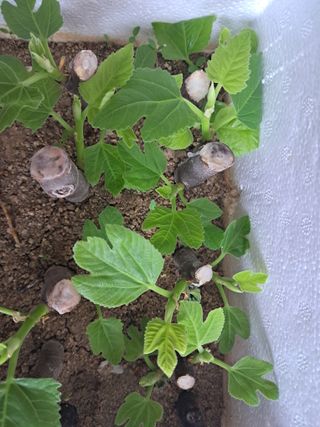 김종덕님의 자유주제 · 자유게시판 작성글 사진