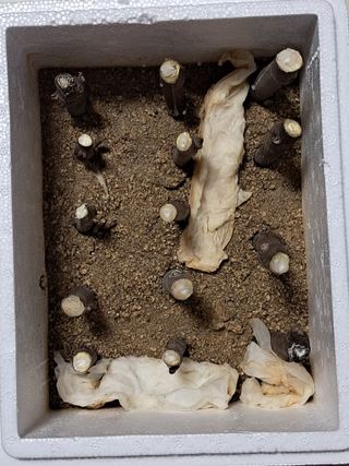 김종덕님의 자유주제 · 자유게시판 작성글 사진