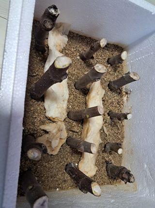 김종덕님의 자유주제 · 자유게시판 작성글 사진