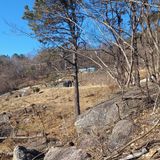 팜모닝 매실·자유게시판 게시글 이미지