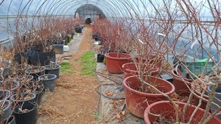 신동원님의 설날, 어떻게 보내시나요? · 참여글 작성글 사진