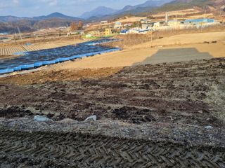 그린1505님의 자유주제 · 자유게시판 작성글 사진