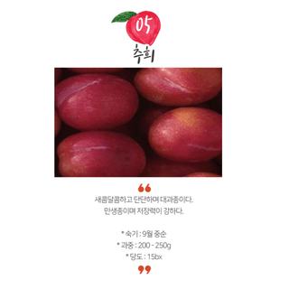 일심묘목농원님의 작성글 사진