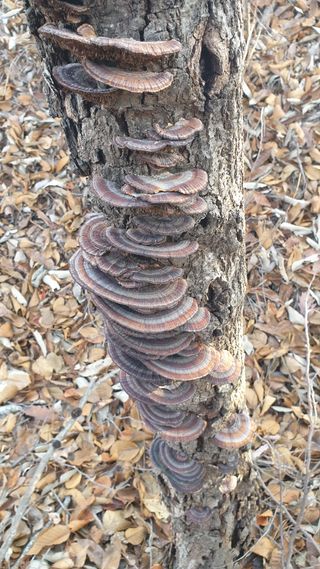 세미골곶감님의 자유주제 · 자유게시판 작성글 사진