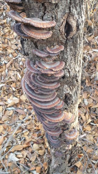 세미골곶감님의 자유주제 · 자유게시판 작성글 사진