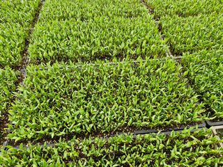 김권중님의 선도농가에 선정된 소감은? · 참여글 작성글 사진