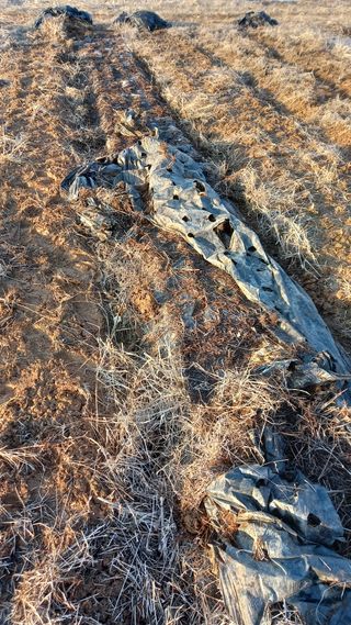 이용주 님의 자유주제 · 자유게시판 작성글 사진