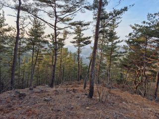 순천채승묵님의 기타작물 · 영농일지 작성글 사진