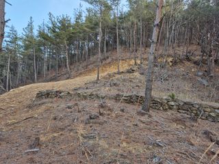 순천채승묵님의 기타작물 · 영농일지 작성글 사진