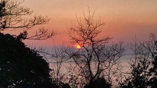 은태농님의 설날, 어떻게 보내시나요? · 참여글 작성글 사진